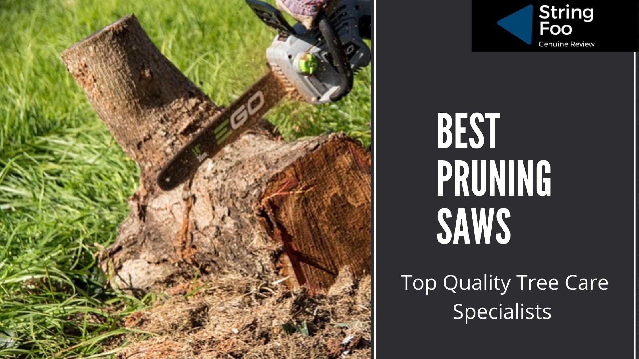 Best Pruning Saws
